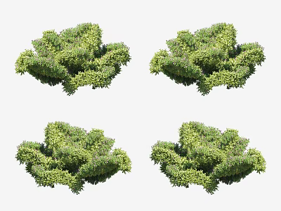 Lush Green Floral Bushes Perfect For Garden Decoration And Landscaping 3d model