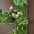 Modern Plant Wall 3d model