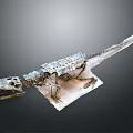 Complete Dinosaur Skeleton Fossil Displayed With Detailed Bone Structure On White Base