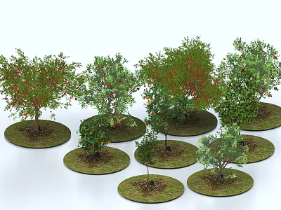 Different Types Of Trees With Varied Leaves And Fruits On Circular Grass Patches 3d model
