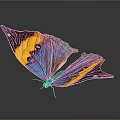 Colorful Butterfly With Vibrant Yellow Purple Blue Wings On Dark Background