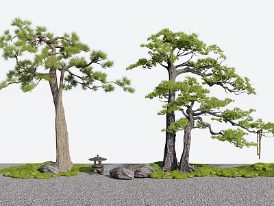 Two Tall Trees In Garden With Green Grass Stones And Stone Lantern On Gravel Ground 3d model