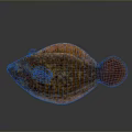 Orange Red Spotted Flat Aquatic Animal Fish with Unique Body Structure and Fins