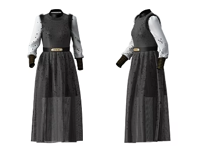 Black White Spliced Long Dress With Sheer Sleeves And Gold Belt 3d model