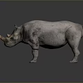 Gray Rhinoceros Sculpture Standing With Textured Skin Single Horn And Dark Background