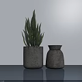 Potted Plant With Green Leaves In Gray Pots On Blue Countertop And Light Gray Wall