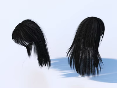 Women's Black Wigs With Different Hairstyles Natural Hair Texture And Length 3d model