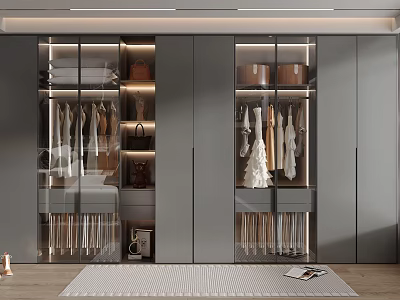Modern Wardrobe Interior With Glass Doors LED Lighting And Storage Solutions 3d model