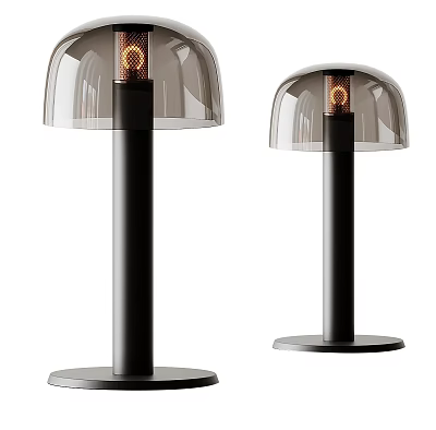 Modern Stylish Table Lamp With Transparent Glass Shade And Black Metal Base 3d model