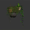 Decorative Hanging Plant Pots With Trailing Green Vines And Leafy Shrubs