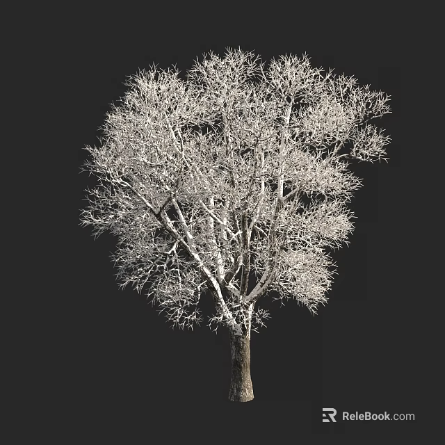 Leafless Arbor With Detailed Trunk And Branches Isolated On Black Background 3d model