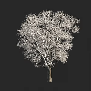 autumn and winter plants shrub tree snow cover 3d model