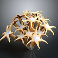Multiple Golden Starfish Clustered in Artistic Sculpture on Dark Background