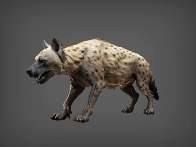 Realistic 3D Rendering of Spotted Hyena with Open Mouth and Detailed Fur Texture 3d model
