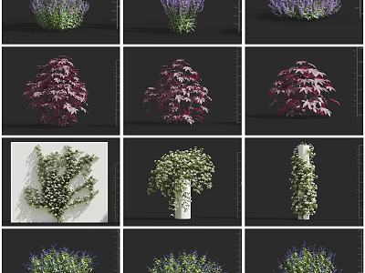 Diverse Colorful Flowers and Plants with Lavender Red Shrubs White Vines Green Foliage 3d model
