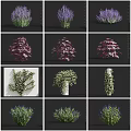 Diverse Colorful Flowers and Plants with Lavender Red Shrubs White Vines Green Foliage
