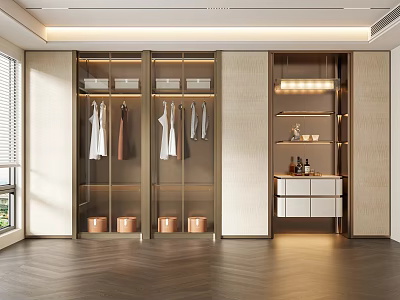 Modern Walk In Closet Interior With Glass Door Cabinets Hanging Clothes And Metal Storage Bins 3d model