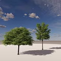 Two Tall Leafy Trees With Lush Green Foliage Against Clear Blue Sky And White Ground