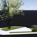 Modern Tree Pit Design With Green Grass Trees And Ornamental Grasses 3d model