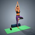 Woman Practicing Yoga Tree Pose On Green Mat With Block And Wheel