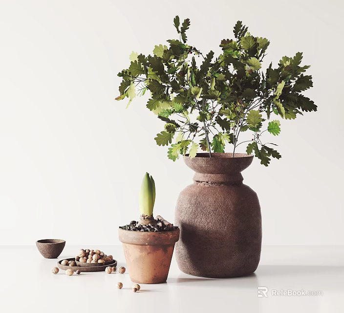 Rustic Terracotta Vase With Green Leafy Plant And Small Sprouting Pot On White Table 3d model 