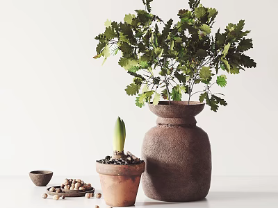 Rustic Terracotta Vase With Green Leafy Plant And Small Sprouting Pot On White Table 3d model