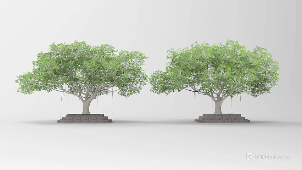 Two Arbor Trees With Green Leaves And Lush Canopy On Stone Base 3d model