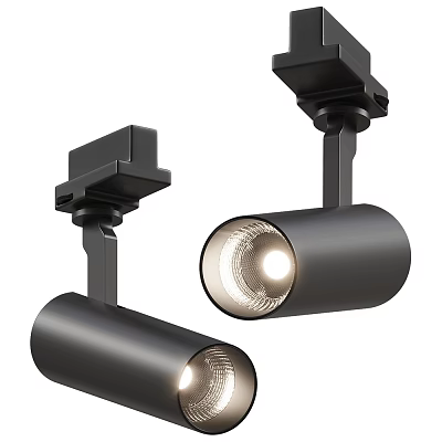 Modern Black Downlights And Spotlights Track Mounted Ceiling Lighting Fixtures With Bright Illumination 3d model