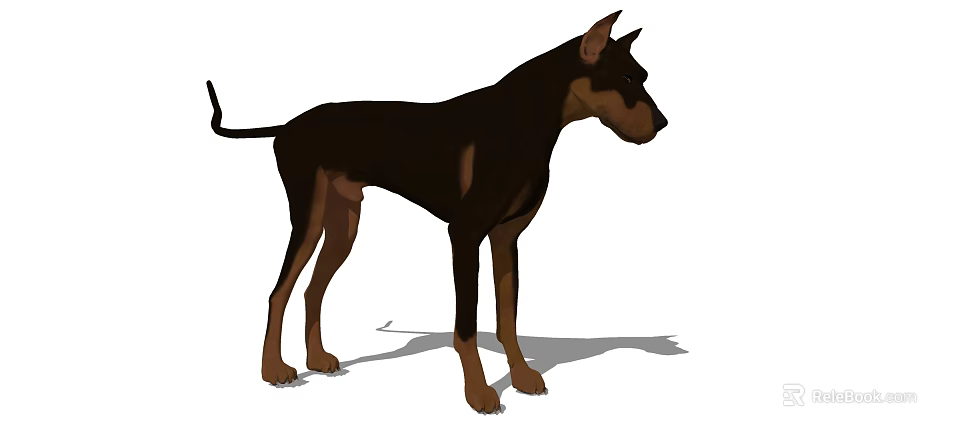 Brown And Black Reptile Standing In Side View With Shadow 3d model 