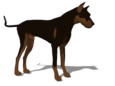 Brown And Black Reptile Standing In Side View With Shadow 3d model