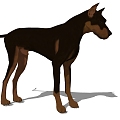 Modern Dog Animal Dog 3d model