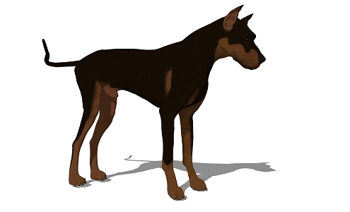 Modern Dog Animal Dog 3d model