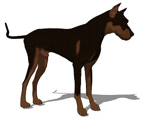 Modern Dog Animal Dog 3d model