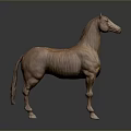 Realistic Brown Horse 3D Model Sculpture With Gray Background And Detailed Texture
