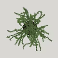 Modern Bonsai Potted Plant With Hanging Foliage In Black Pot On Metal Stand