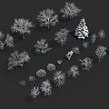 Diverse Winter Plants White Silhouette Collection With Trees Shrubs And Pine On Black Background