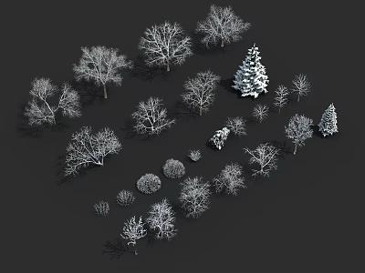 Diverse Winter Plants White Silhouette Collection With Trees Shrubs And Pine On Black Background 3d model