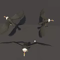 Majestic Eagles Spreading Wings in Different Flying Poses Against Gray Background 3d model