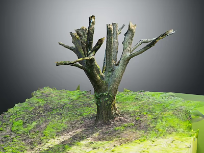 Natural Leafless Wooden Tree Trunk Surrounded By Green Grass And Fresh Soil In Outdoor View 3d model