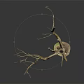 Natural Wooden Dry Tree Trunk Featuring Branched Twigs On Stone Base Black Background