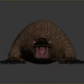 platypus red-tailed platypus leopard platypus daily necessities 3d model