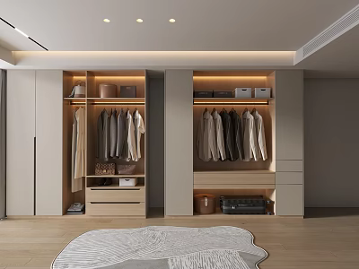 Modern Walk In Closet Interior Design With Open Shelving Hanging Rods Drawers And Wooden Flooring 3d model