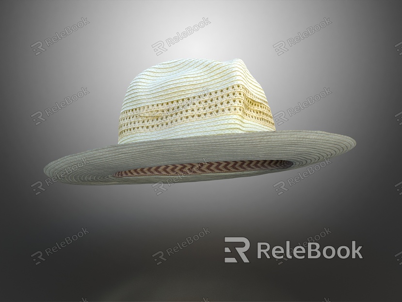 Modern Straw Hat Men's Hat Cool Hat model