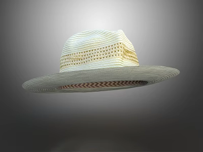 Modern Straw Hat Men's Hat Cool Hat 3d model