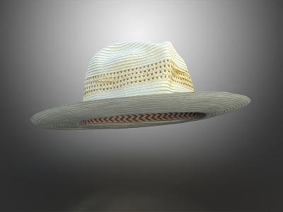 Modern Straw Hat Men's Hat Cool Hat 3d model