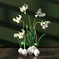 Floral Arrangement with White Flowers Green Stems White Spherical Pots on Wooden Tabletop Green Background