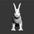White Rabbit Figurine With Long Ears Black Eyes On Dark Reflective Surface