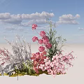 Natural Colorful Flower Arrangement With Pink White Blooms And Green Foliage