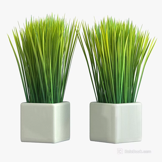 Home Garden Decorative Green Grass Plants In White Square Pots For Interior 3d model 