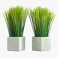 Home Garden Decorative Green Grass Plants In White Square Pots For Interior